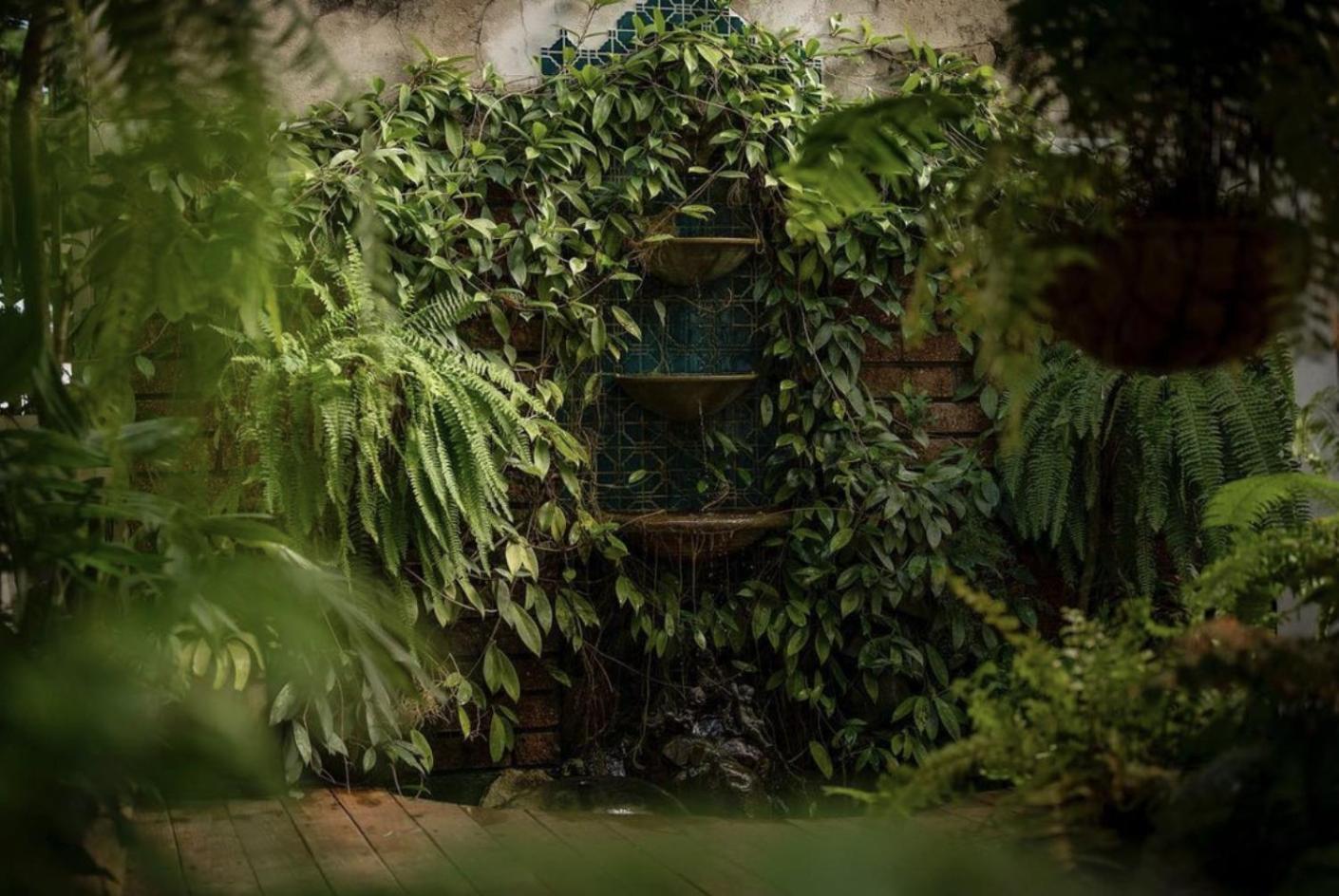 Casa Botanica Hotel San Juan Esterno foto